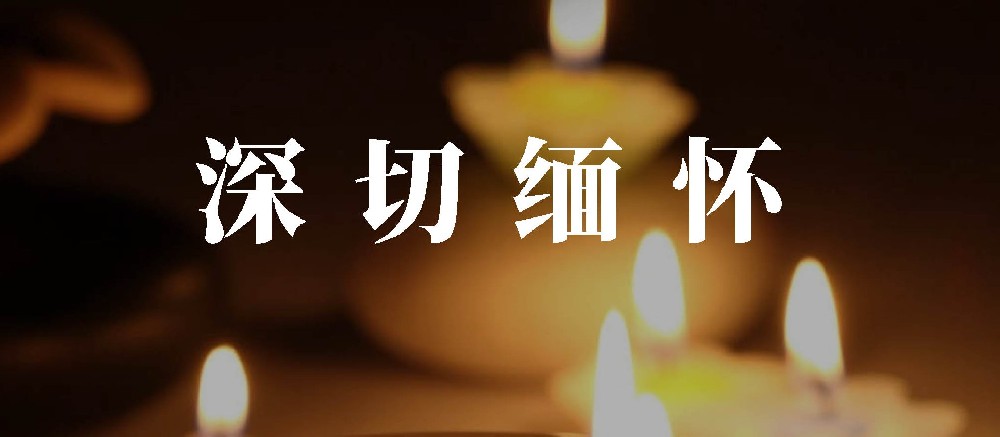 中国书法家协会名誉主席沈鹏先生在北京逝世，享年92岁