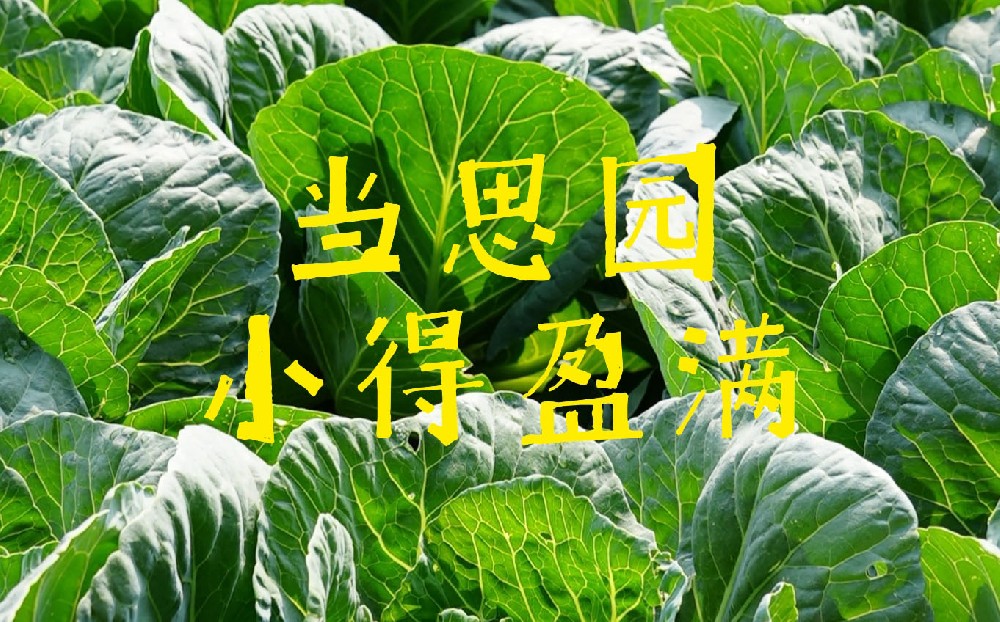 「当思园」里寻小满