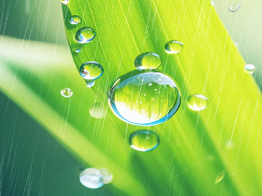 二十四节气楹联之丙午马年雨水