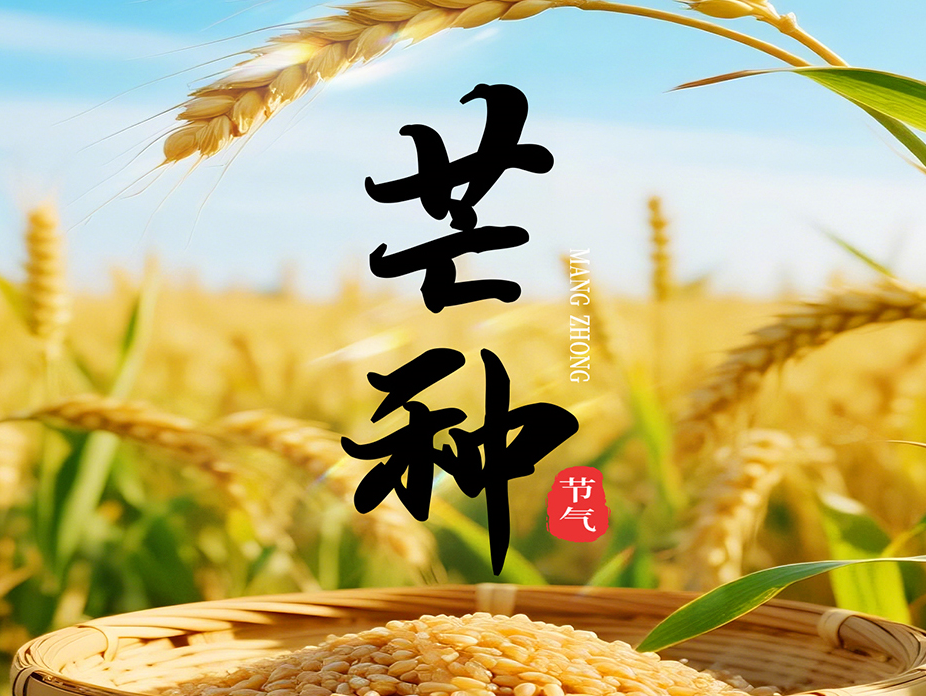 二十四节气楹联之丙午马年芒种